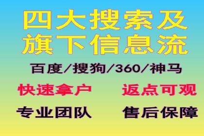 专业SEM代运营公司案例分析